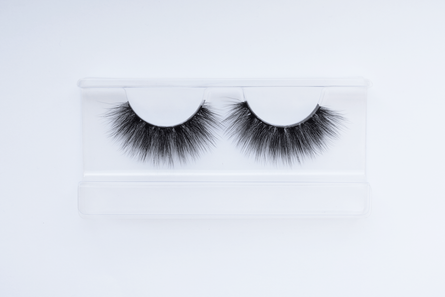 Ava Lash