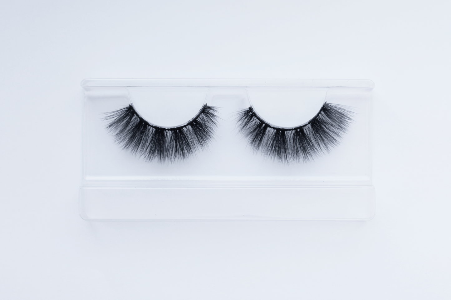 Rosa Lash